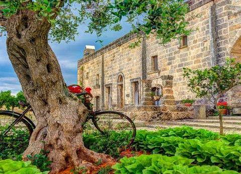 Autotour Les Pouilles en Liberté 3* - 6