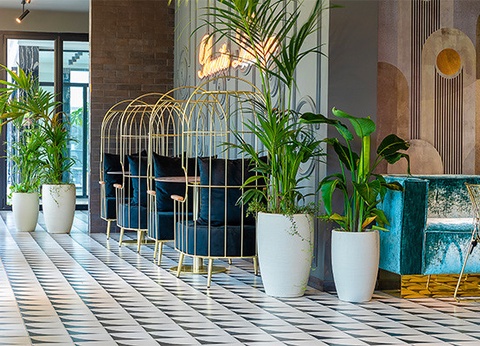 Club Framissima Bonita Luxury Resort 5* - 24