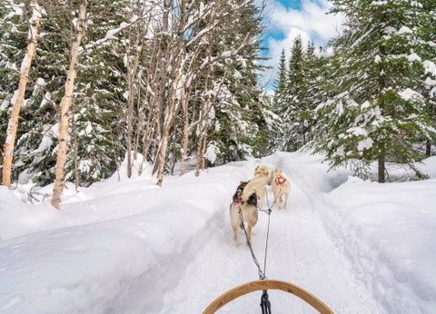 Club Jumbo First Village (activités incluses) - 6