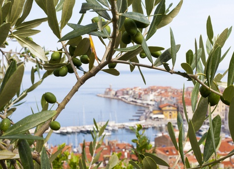 Autotour Evasion en Slovénie 3* ou 4* - 14