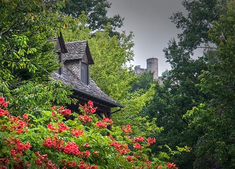 Village Vacances Les Chalets de la Gazonne, 2* - 87