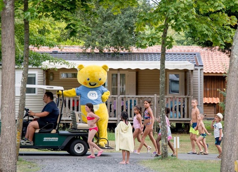 Camping maeva Escapades l'Arbre d'Or, 4* - 48