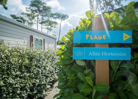 Camping Paradis La Pomme de Pin 4* - 8