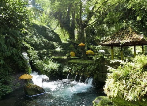 Carpe Diem à Bali Lombok - 12