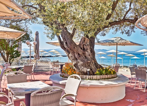 Combiné circuit et hôtel Grand Tour de Grèce et extension 7 nuits Framissima Palmariva Beach - 22