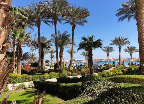 Hôtel ZYA Regina Resort & Aquapark 4* - 2