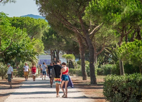 Camping l'Etoile d'Or 4* - 52