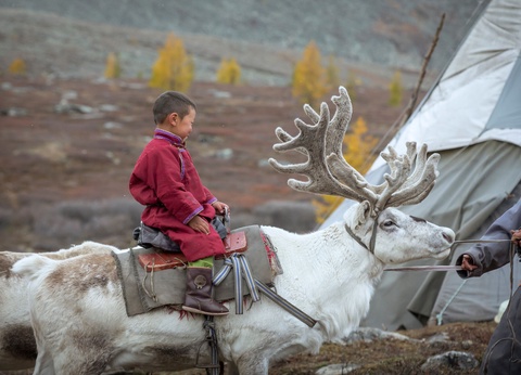 Circuit En terres Tsaatan - 3