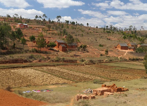 Circuit Intense Madagascar le long de la Route Nationale 7 - 6