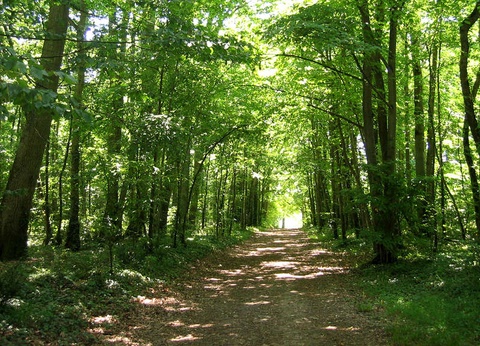 Séjour dans un monument historique avec visite de la cave de Vouvray - 3* - 16