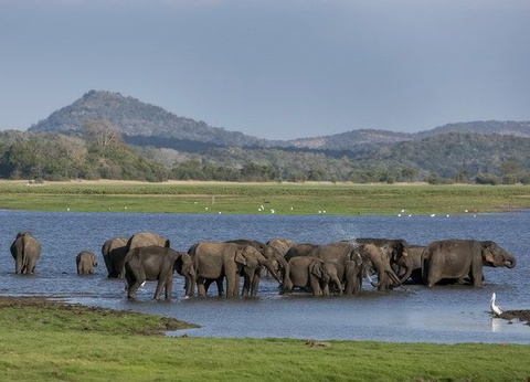 Circuit Ceylan Bonheur - 15
