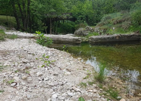 Camping Le Roubreau, 3* - 42