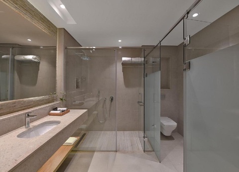 Combiné Fabuleuse Egypte et Steigenberger Ras Soma - 34