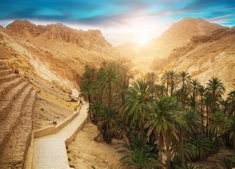 Club Jumbo Baya Beach Quatre Saisons by Medina 3* - 15