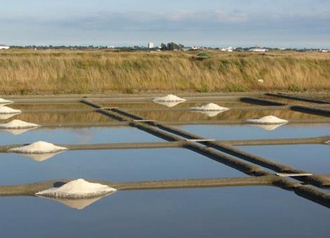 Camping L'Etang du Pays Blanc, 4* - 49