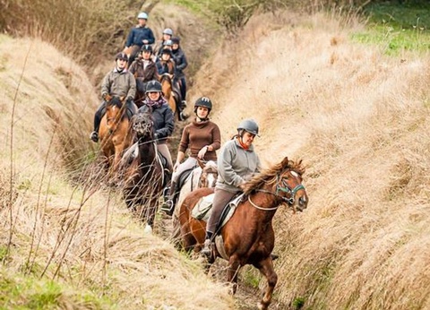 Camping Domaine du Lieu Dieu - 20