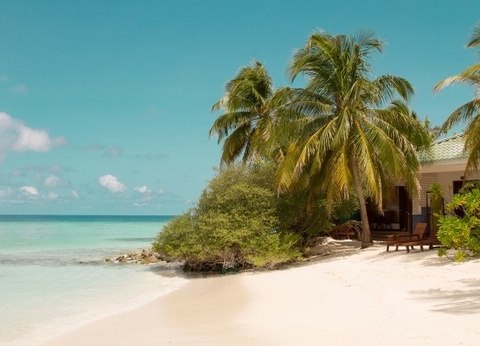 Hôtel Eriyadu Island Resort 4* - 2