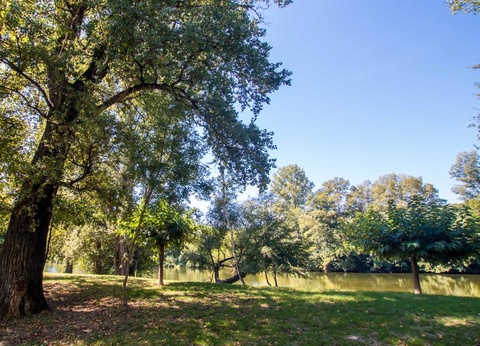 Camping Domaine du Cros d'Auzon, 4* - 42