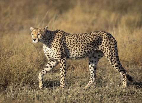 Circuit Sensations tanzaniennes - 9