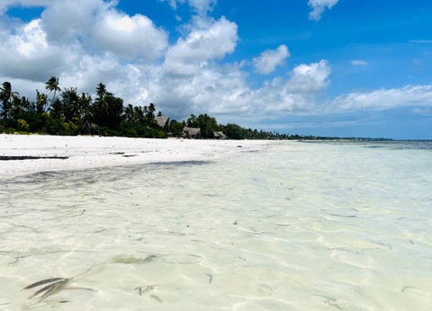 Hôtel Palumbo Mnemba View Resort 4* sup - 2