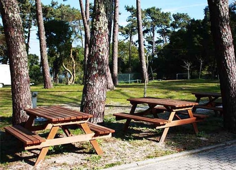 Camping Caminha 3* - 12