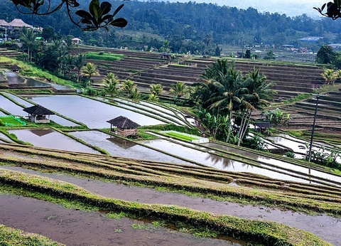 Evasion au Sud de Bali - Circuit Privatif - 11