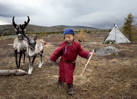 Mongolie, terre nomade + Gobi - 7