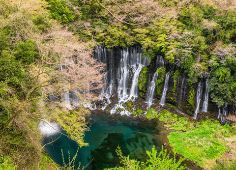Circuit De la Corée au Japon, Matin Calme et Soleil Levant.. - 29