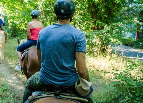 Camping Le Méditerranée Argelès, 5* - 18