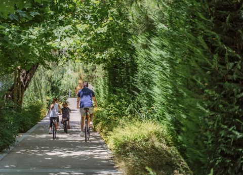 Hôtel Ikos Dassia 5* - 12