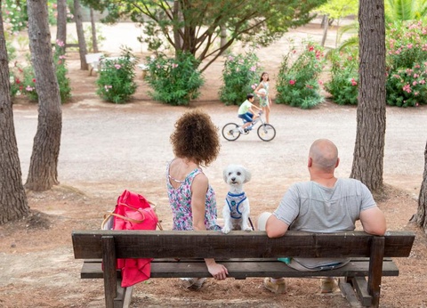 Camping Taiga Lake Caspe - 43