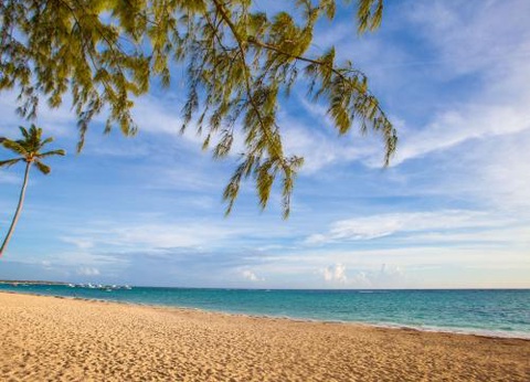 Club Jumbo Vista Sol Punta Cana Beach Resort & Spa 4* - 45