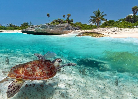 Aspira Hotel Playa del Carmen 4* - 9