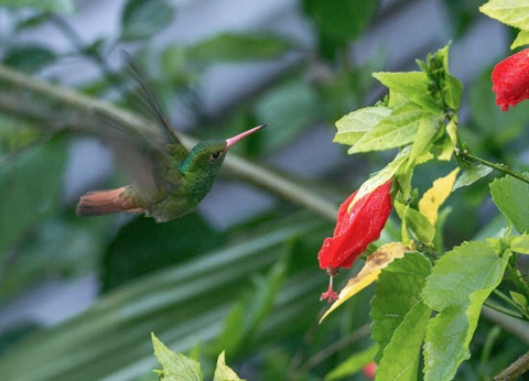 Circuit L'Équateur entre nature et authenticité + pré-tour Amazonie (maximum 16 participants) - 4