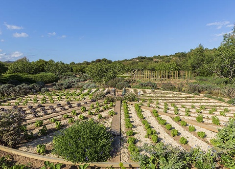 Grand Hôtel de Cala Rossa 5* - 13