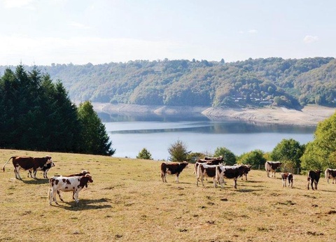 Camping L'Air du Temps, 3* - 7