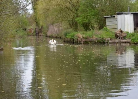 Camping Aux Cygnes d'Opale, 3* - 42