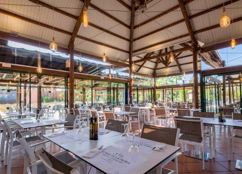 Camping Estival Torre de la Mora, 5* - 26