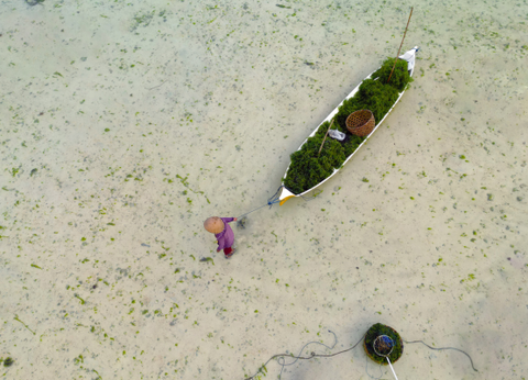 Combiné Des Rizières de l'île des Dieux aux eaux turquoise de Nusa Lembongan - 3