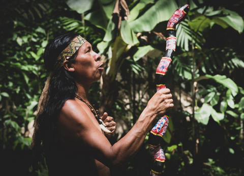 Circuit Joyaux Verts d'Amérique Centrale : du Costa Rica au Panama - 15