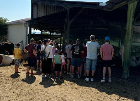 Camping le Bourdieu, 3* - 31