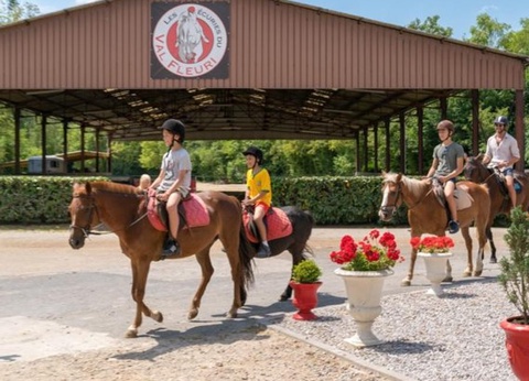 Camping - Le Grand Paris, 4* - 18