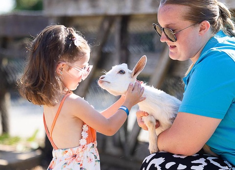 Camping La Grand Métairie - Camping Paradis, 4* - 4