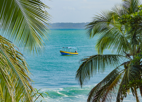 Circuit Dans le Sillage des Corsaires : De Panama à Bocas del Toro - 44