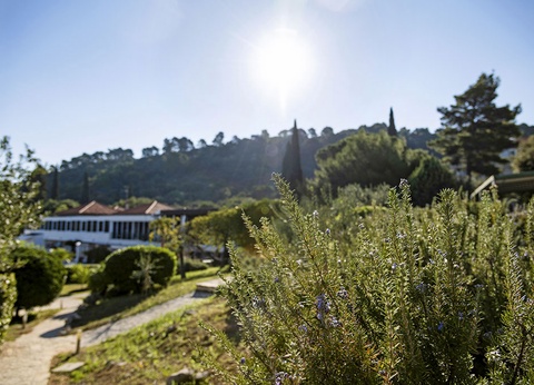 Hôtel TUI Blue Kalamota Island 4* Adult Only +16 by Ôvoyages - 4