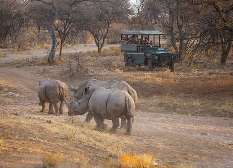Circuit La Namibie, joyau de l'Afrique australe - 13
