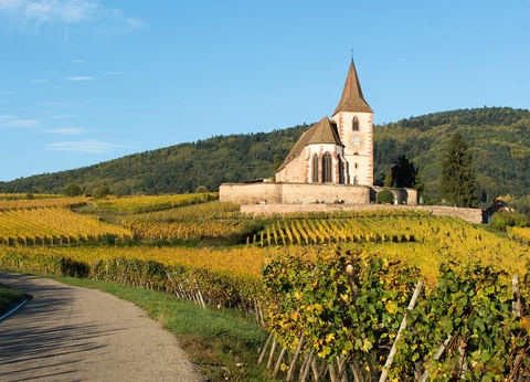 Week-end détente entre Colmar et les Vosges - 3* - 14