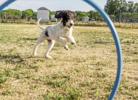 Gitavillage Club degli Amici - 45