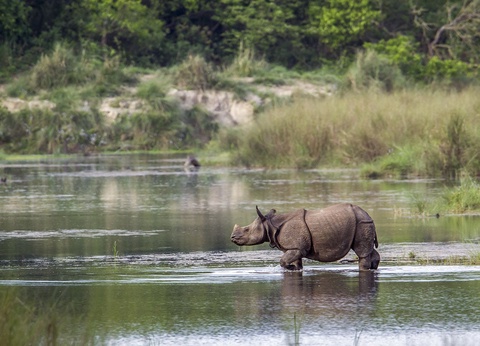 Circuit Népal oublié : cités médiévales, Himalaya et jungle du Terraï - 11