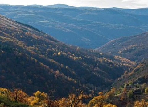 Camping l'Olivier, 3* - 21